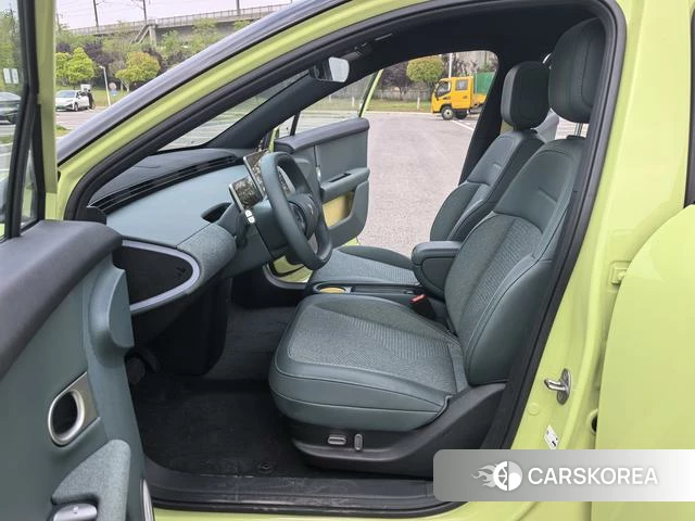 firefly firefly Unknown 2025 Зеленый из Китая, фото 5