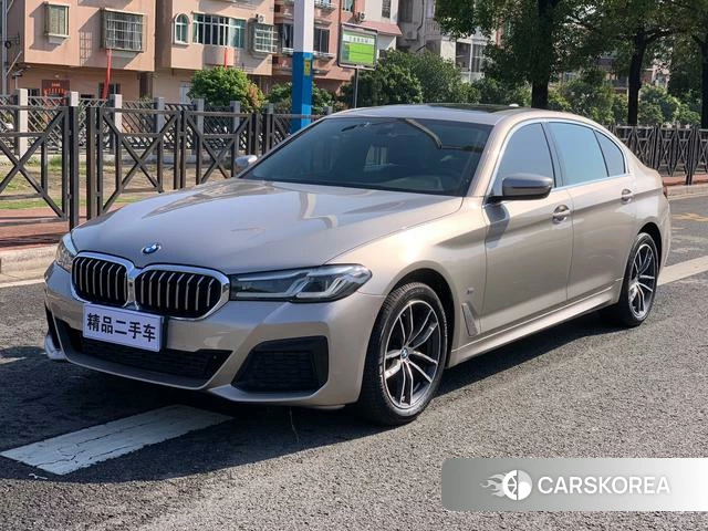 BMW 5 series 2021 Шампань из Китая, фото 5