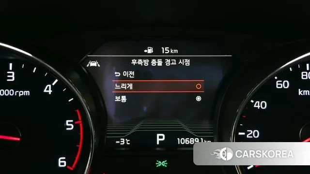 Kia The New Carnival 2019 Белый из Кореи, фото 5