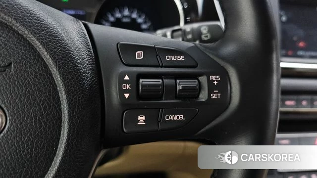 Kia The New Carnival 2019 Белый из Кореи, фото 5