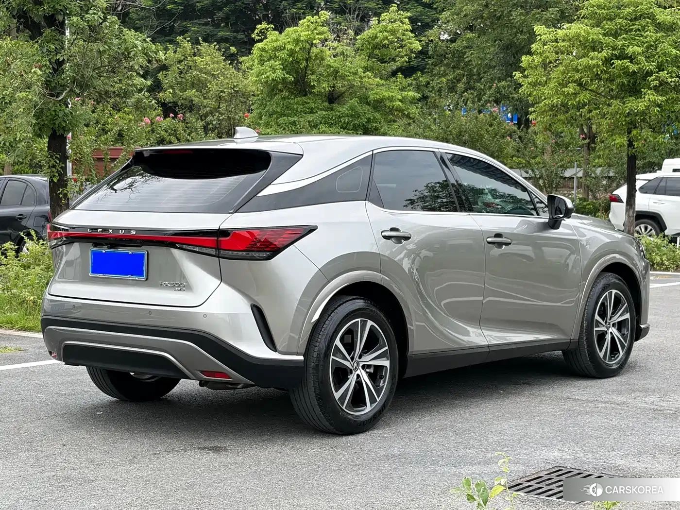 Lexus RX 2025 Silver/gray из Китая, фото 5