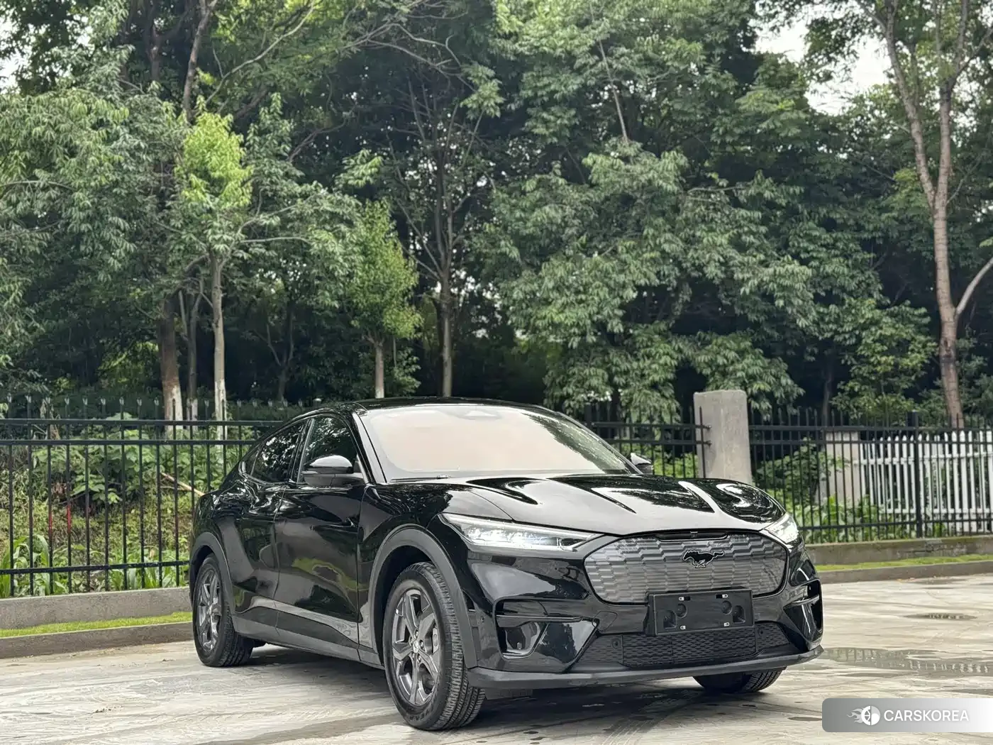 Ford Electric horse 2022 Черный из Китая, фото 5