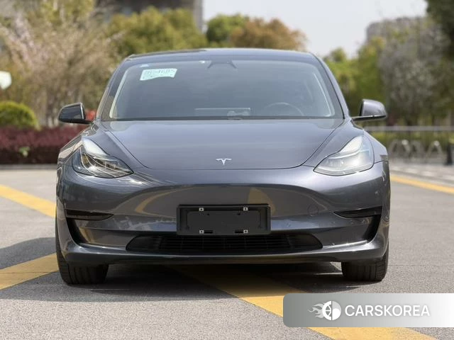 Tesla Model 3 2021 Темно-серый из Китая, фото 5