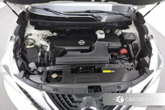 Nissan Loulan 2019 Белый из Китая, фото 5