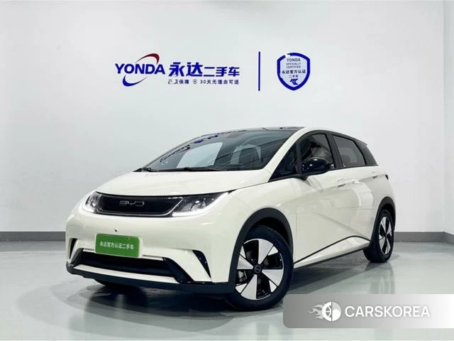 BYD dolphin 2023 Желтый из Китая, фото 5