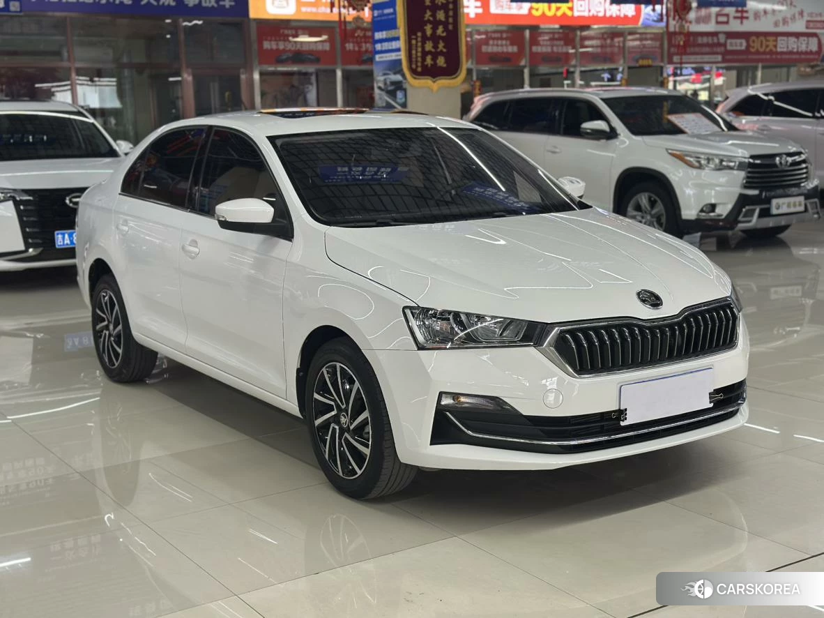 Skoda Xin Rui 2020 Белый из Китая, фото 5