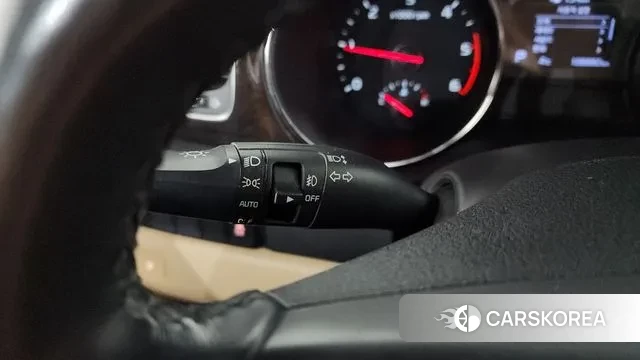 Kia The New Carnival 2019 Белый из Кореи, фото 5