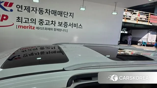 Kia The New Carnival 2019 Белый из Кореи, фото 5