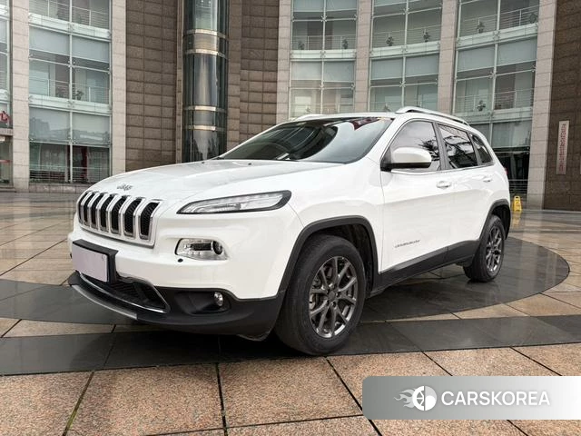Jeep Free light 2020 Белый из Китая, фото 5