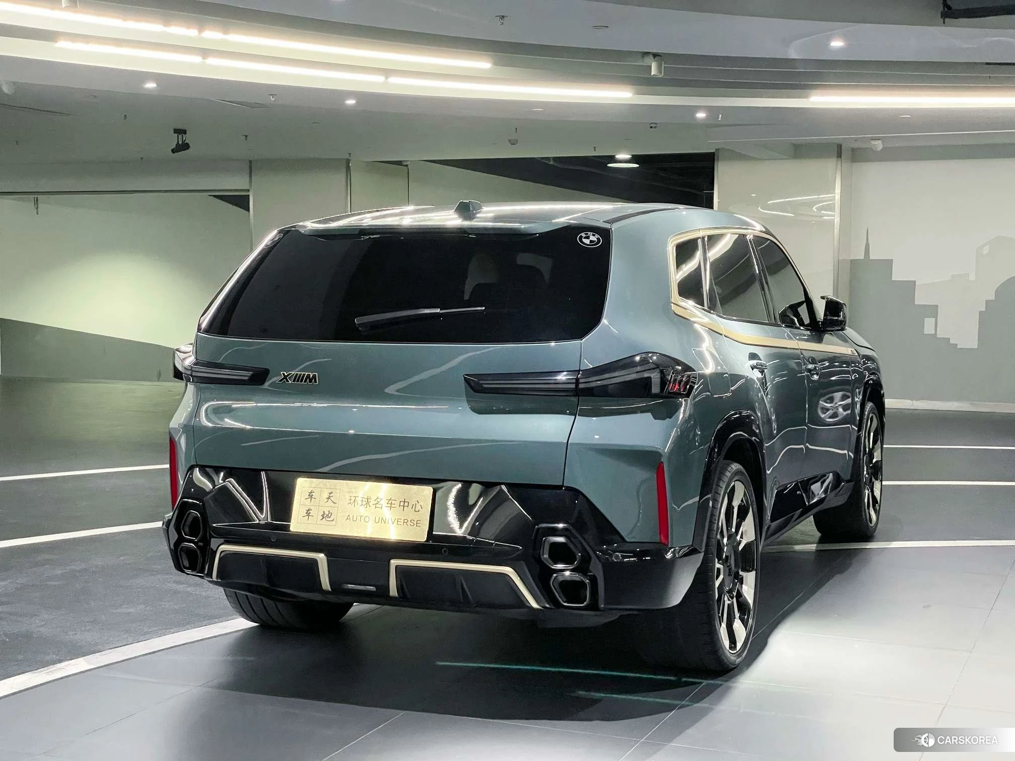 BMW XM 2023 Зеленый из Китая, фото 5
