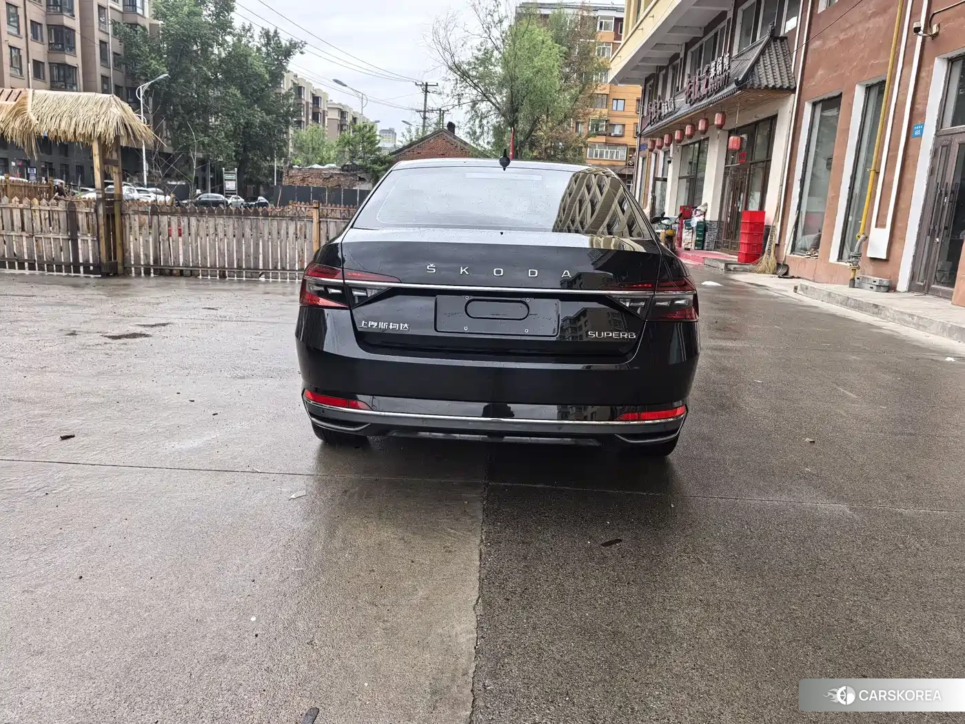 Skoda Speed pie 2023 Черный из Китая, фото 5