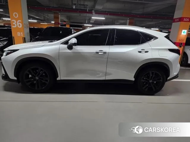 Lexus NX350h Second generation 2024 Белый из Кореи, фото 5