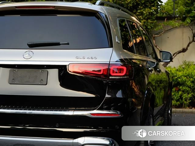 Mercedes-Benz Maybach GLS 2021 Другой из Китая, фото 5
