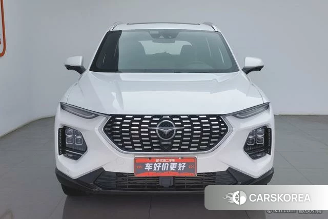 Seahorse 8S 2020 Белый из Китая, фото 5