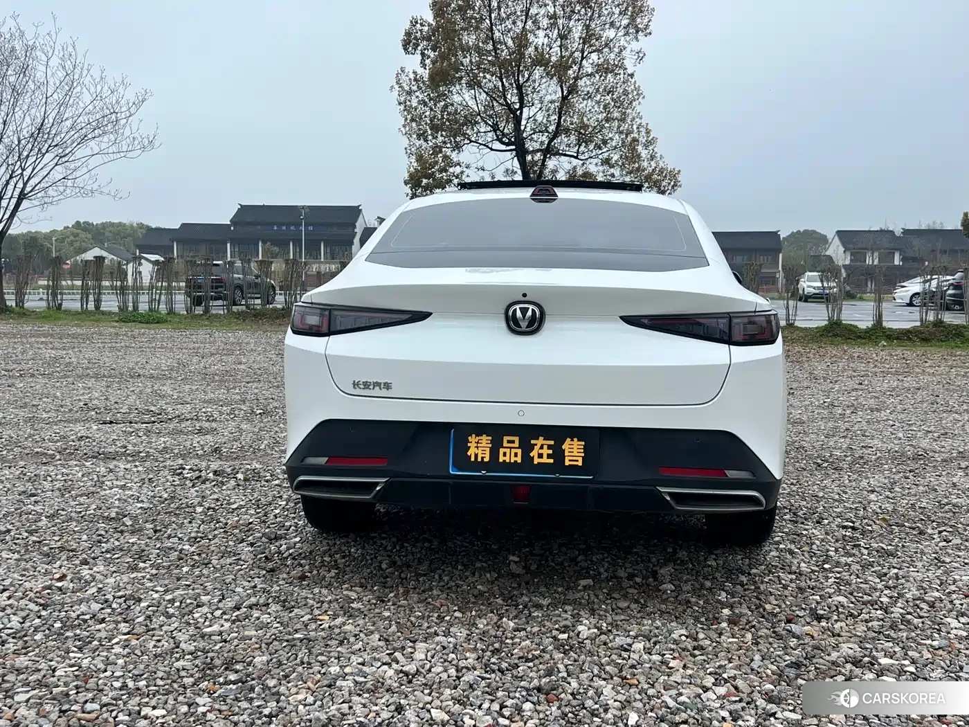 Chang'an Yidong 2024 Белый из Китая, фото 6