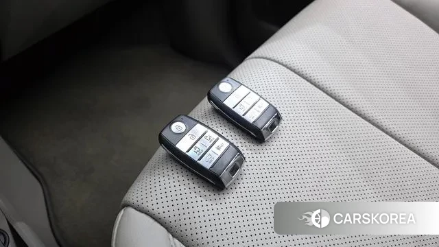 Kia The New Carnival 2019 Белый из Кореи, фото 5