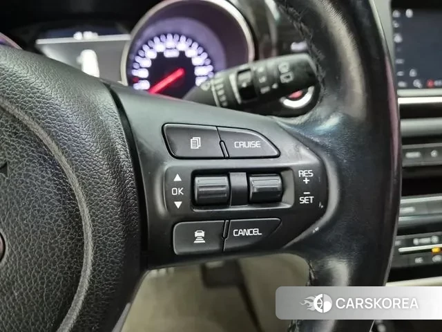 Kia The New Carnival 2018 Белый из Кореи, фото 5