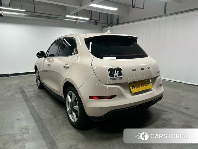 Euler Good cat 2024 Другой из Китая, фото 5