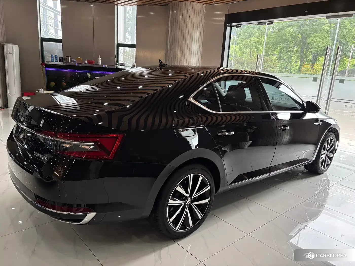Skoda Speed pie 2025 Черный из Китая, фото 5