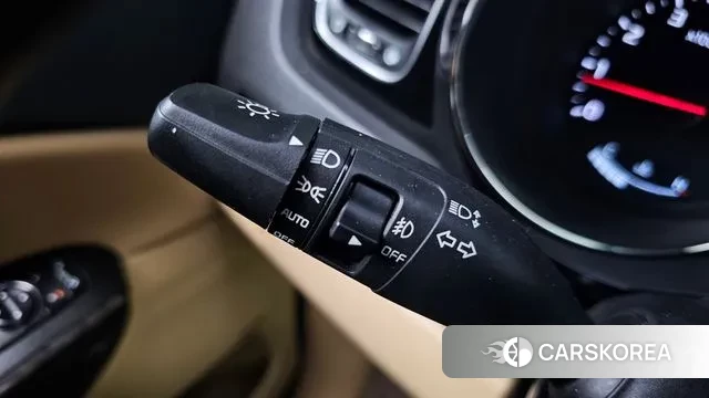 Kia The New Carnival 2018 Белый из Кореи, фото 5