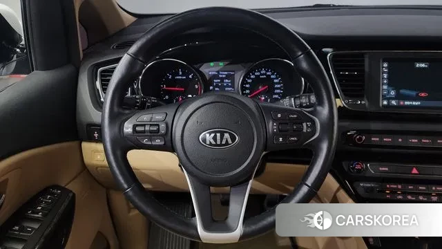 Kia The New Carnival 2020 Белый из Кореи, фото 5