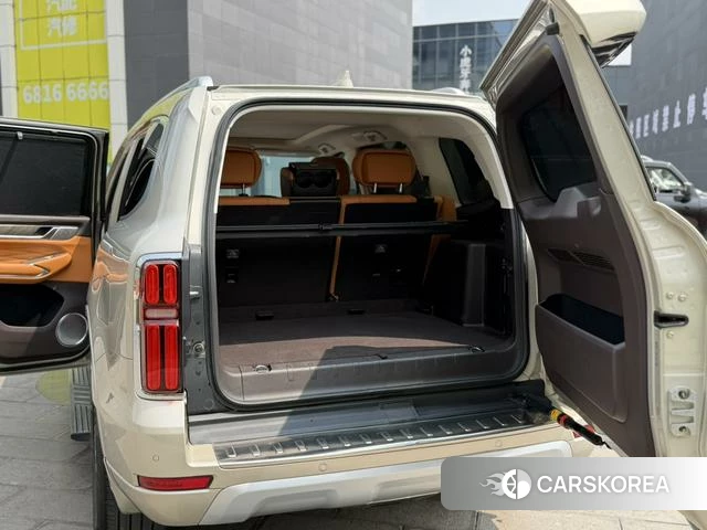 Tank 500 2022 Шампань из Китая, фото 5