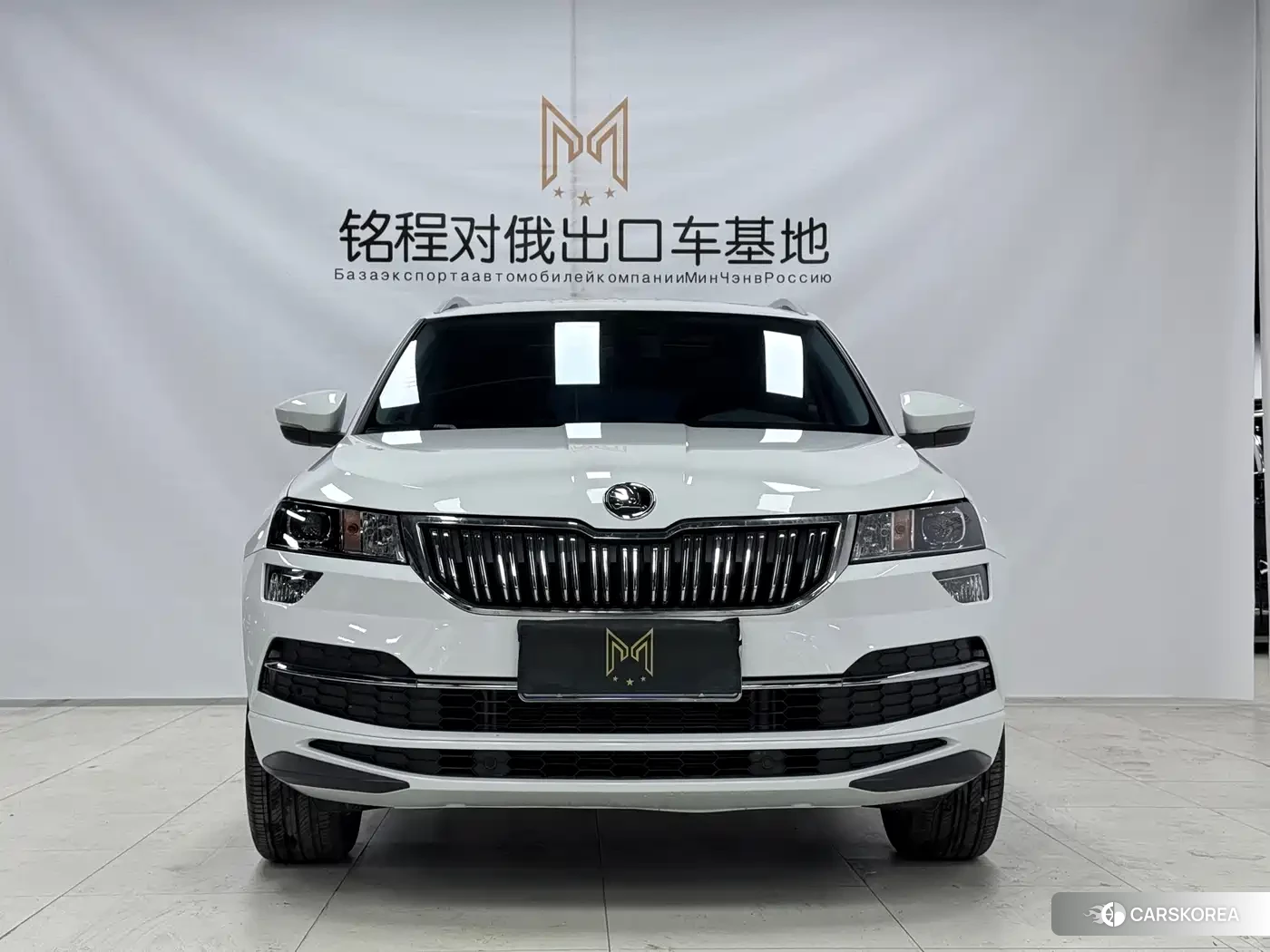 Skoda Krok 2024 Белый из Китая, фото 5
