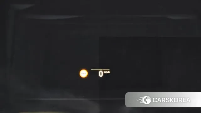 BMW X4 (G02) 2021 Белый из Кореи, фото 5