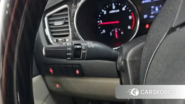 Kia The New Carnival 2019 Белый из Кореи, фото 5