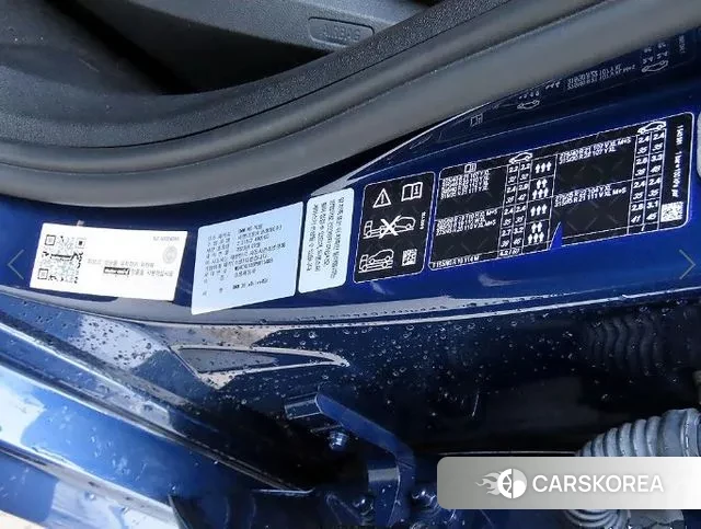 BMW X6 (G06) 2023 Синий из Кореи, фото 5