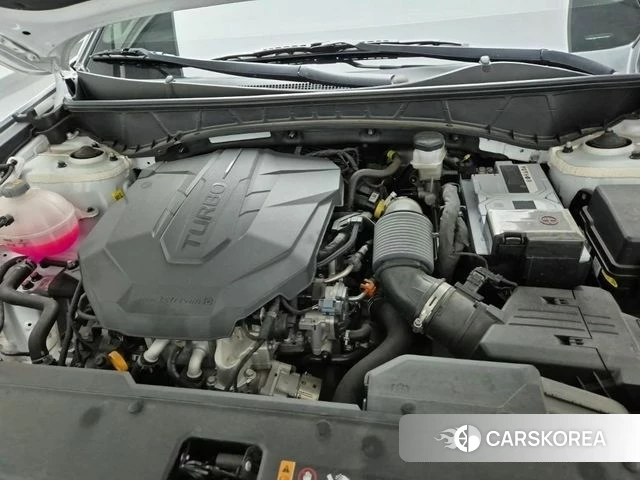 Hyundai Tucson (NX4) 2023 Белый из Кореи, фото 5