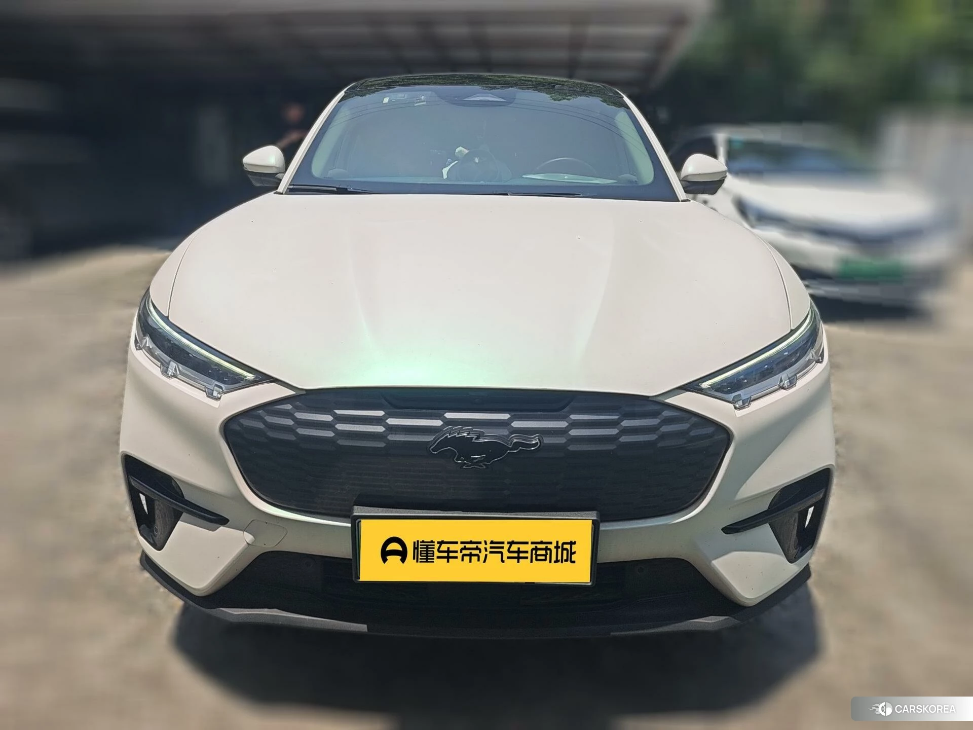 Ford Electric horse 2021 Другой из Китая, фото 5