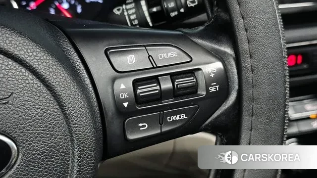 Kia The New Carnival 2018 Серый из Кореи, фото 5