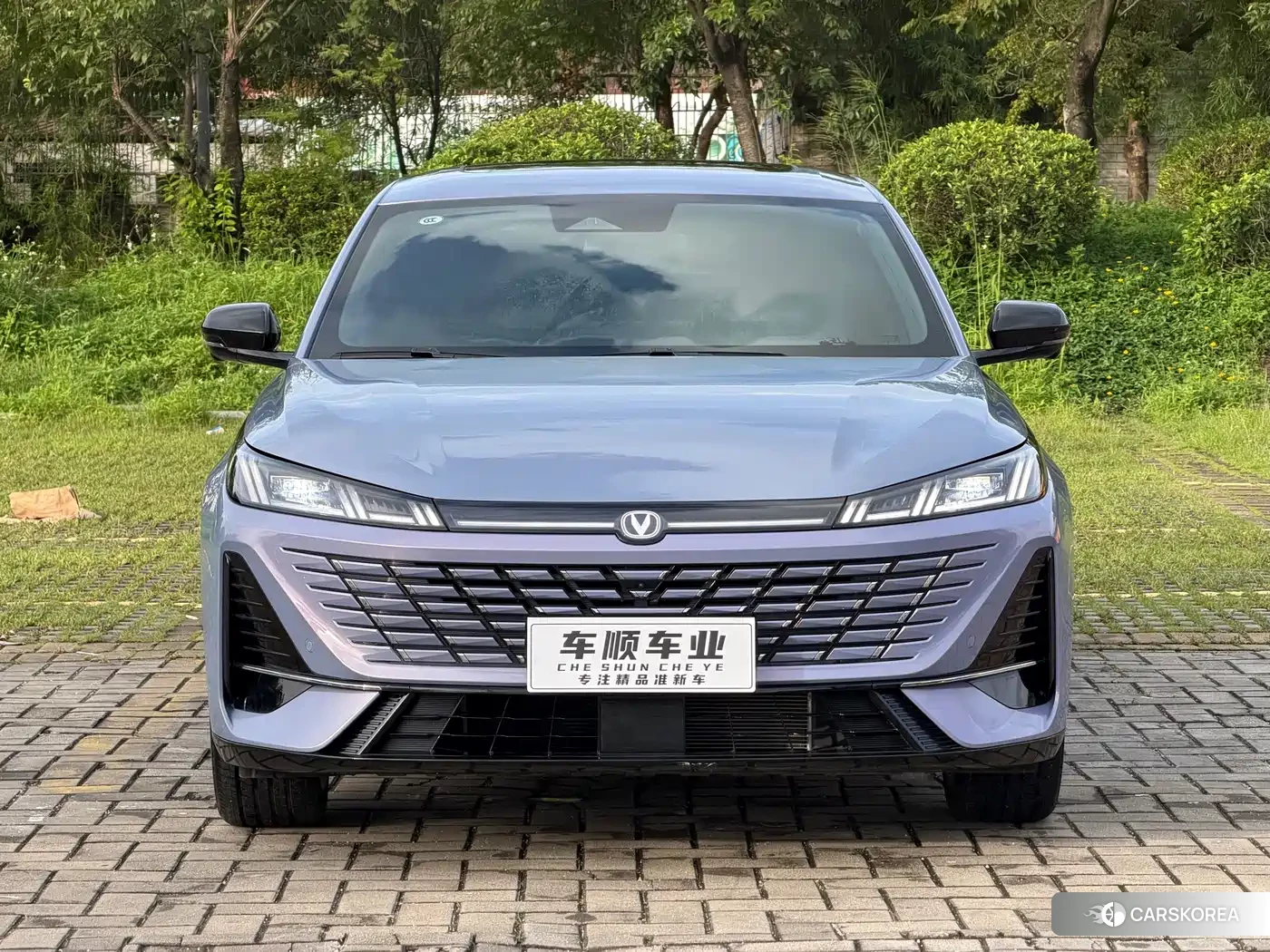 Chang'an Yidong 2025 Синий из Китая, фото 5