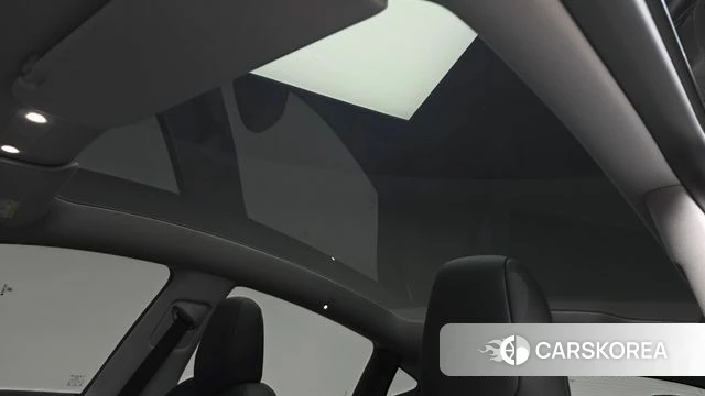 Tesla Model Y 2025 Серый из Кореи, фото 5