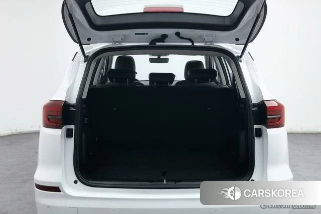 BYD Song 2021 Белый из Китая, фото 5