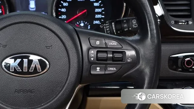 Kia The New Carnival 2018 Белый из Кореи, фото 5