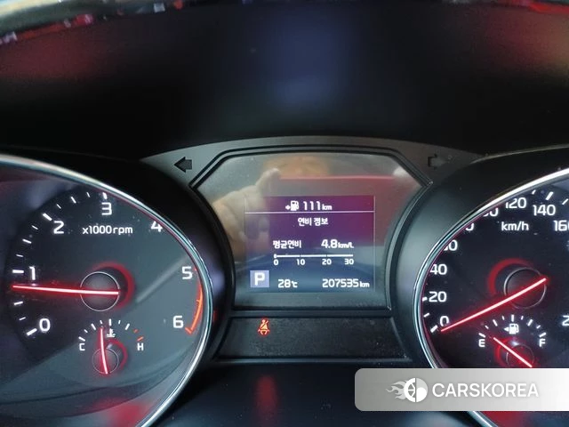 Kia The New Carnival 2018 Жемчужный цвет из Кореи, фото 5