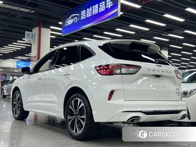 Ford Ruiji 2021 Белый из Китая, фото 5