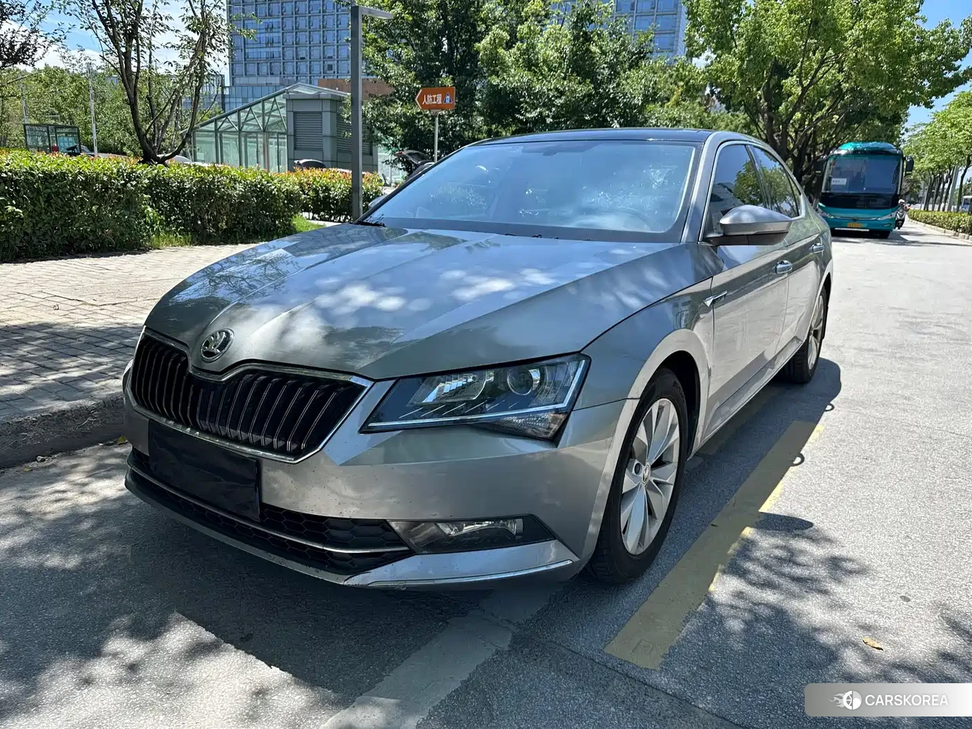 Skoda Speed pie 2018 Silver/gray из Китая, фото 5