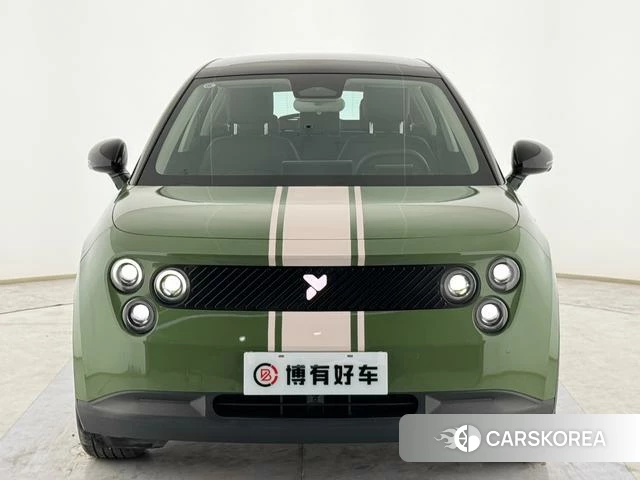 firefly firefly firefly firefly 2025 Зеленый из Китая, фото 5