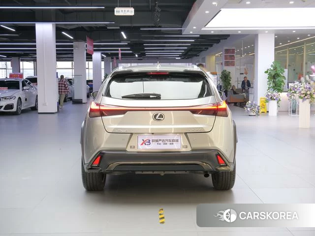 Lexus UX 2021 Серебристо-серый из Китая, фото 5