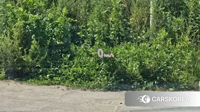 Hyundai Santa Fe TM 2019 Белый из Кореи, фото 5