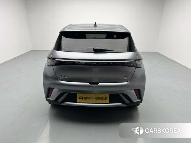 BYD dolphin 2023 Темно-серый из Китая, фото 5