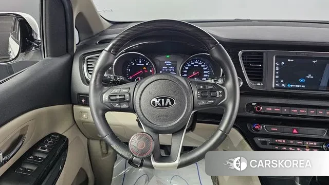 Kia The New Carnival 2020 Белый из Кореи, фото 5