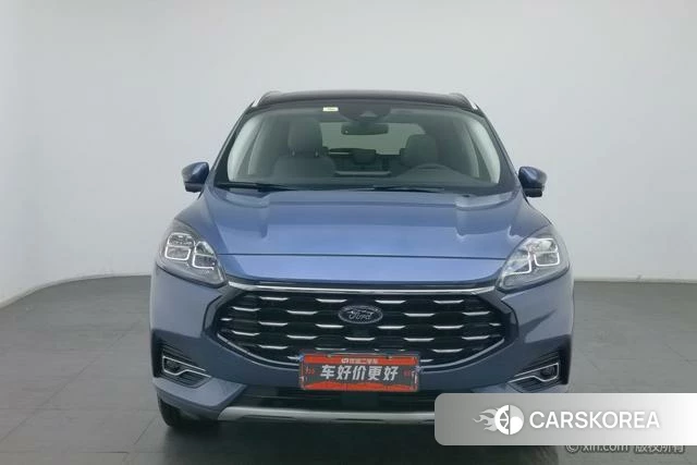 Ford Ruiji 2021 Синий из Китая, фото 5