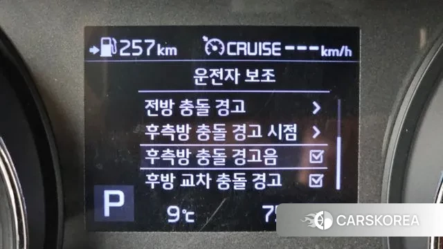 Kia The New Carnival 2019 Белый из Кореи, фото 5