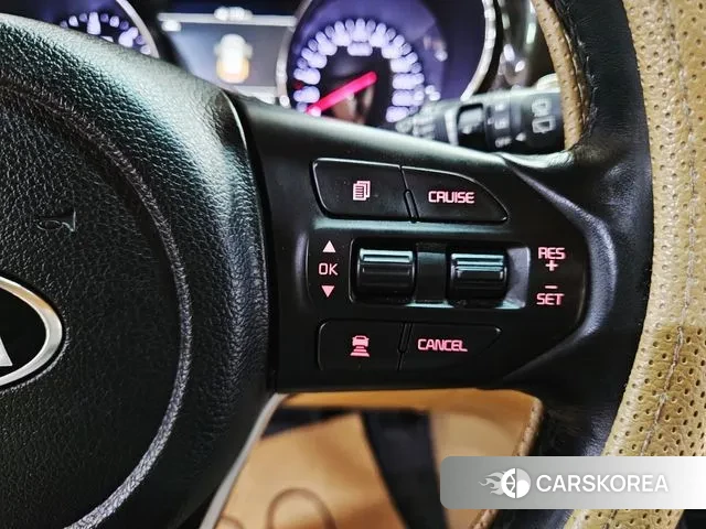 Kia The New Carnival 2018 Белый из Кореи, фото 5