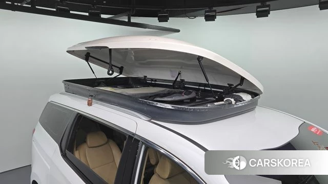 Kia The New Carnival 2019 Белый из Кореи, фото 5