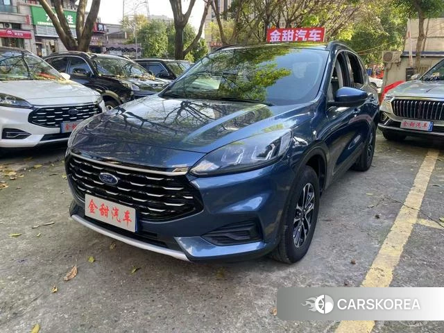 Ford Ruiji 2023 Синий из Китая, фото 5